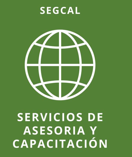 Capacitacion y Proyectos